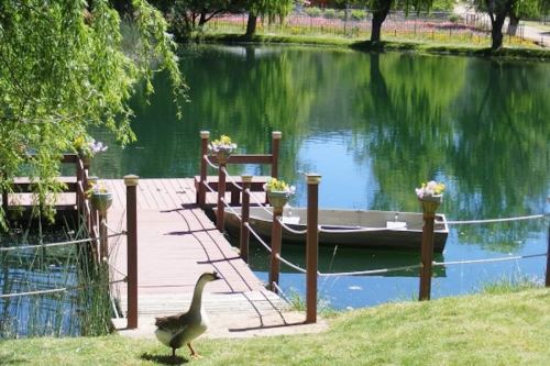 A serene lake scene with a wooden dock, a small boat, and a goose walking on the grass nearby.