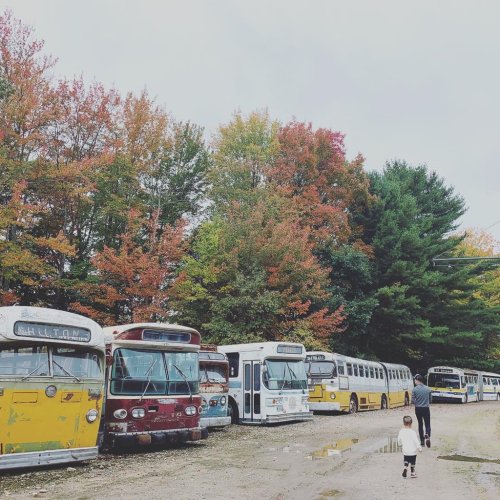 A child walks past a row of vintage buses surrounded by colorful autumn trees.