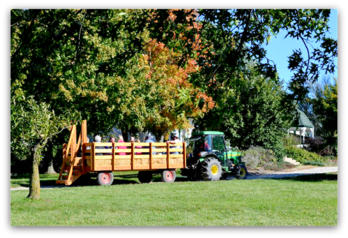 A tractor pulls a wooden wagon through a sunny, tree-lined field with colorful autumn foliage.