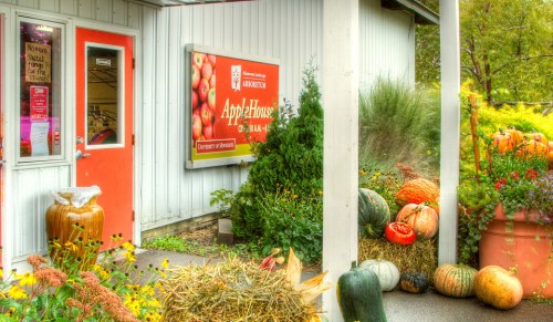 A charming apple house entrance with pumpkins and gourds displayed outside, surrounded by flowers and hay bales.