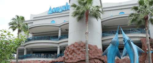 Exterior view of the Aquarium building with palm trees and blue sculptures of fish in the foreground.