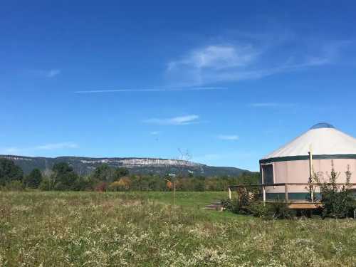 A yurt sits in a grassy field with a clear blue sky and distant mountains in the background.