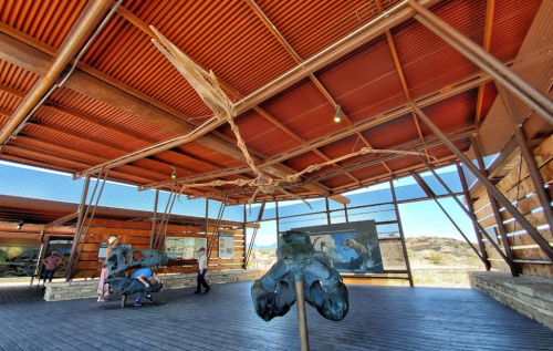 A modern exhibit space with large windows, showcasing dinosaur fossils and educational displays. Visitors explore the area.