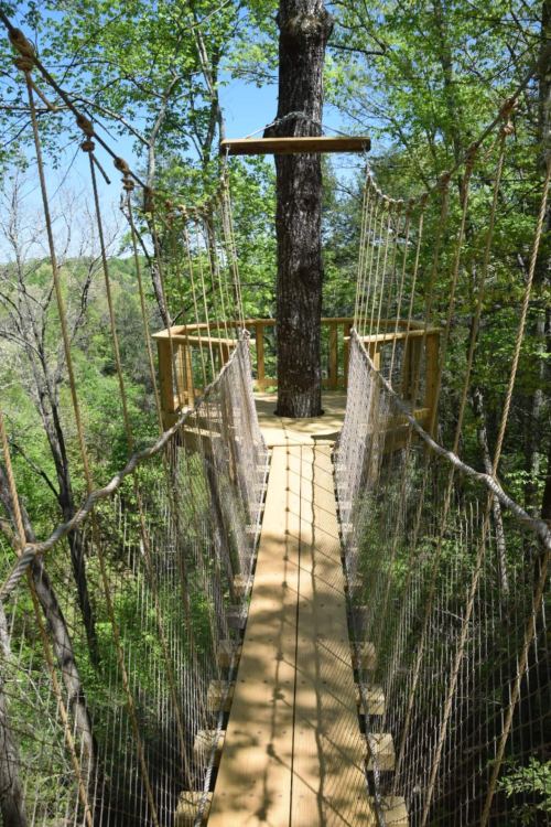 A wooden suspension bridge connects two platforms in a lush green forest, surrounded by trees and blue sky.