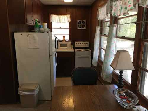 Cozy kitchen with wooden walls, a fridge, microwave, and a table with a lamp and decorative bowl. Natural light from windows.