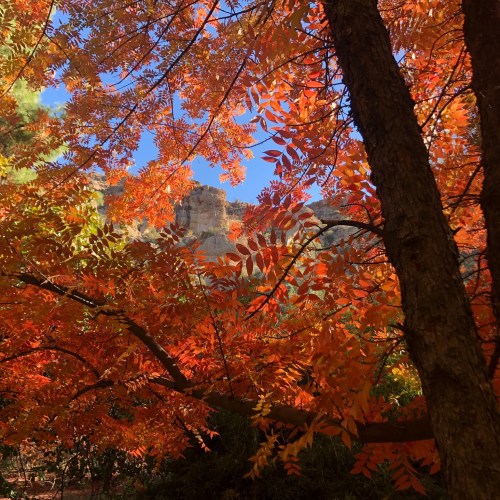 Vibrant autumn leaves in shades of orange and red frame a rocky landscape under a clear blue sky.