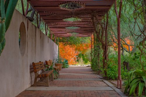 A serene pathway with benches, surrounded by greenery and vibrant autumn foliage in the background.