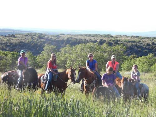 A group of six people on horseback in a grassy field with trees and hills in the background.