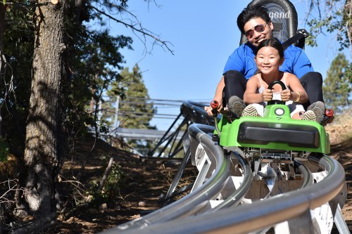 A man and a child joyfully ride a green alpine coaster through a wooded area on a sunny day.