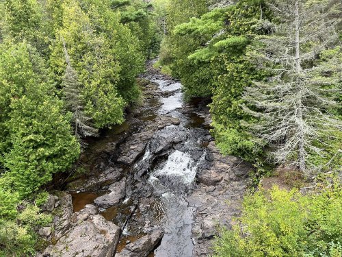 A serene river flows through a lush green forest, with rocks and small waterfalls visible along the banks.
