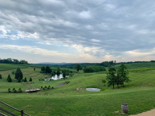 A scenic landscape featuring rolling green hills, a pond, and vineyards under a cloudy sky.