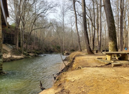 A serene riverbank scene with trees lining the water and a sandy area, featuring a picnic table nearby.
