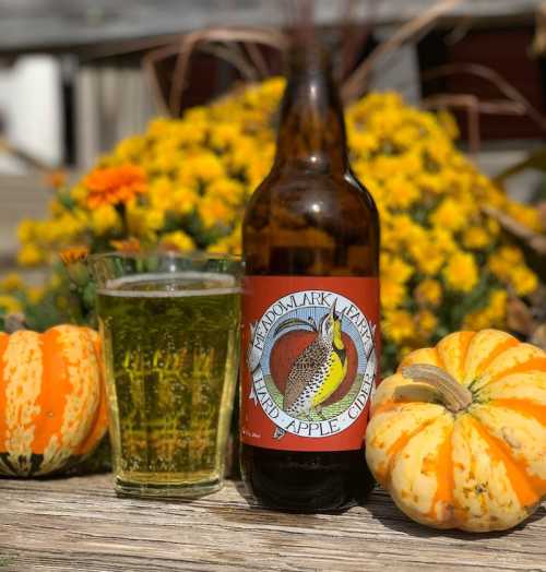 A bottle of Meadowlark hard apple cider next to a glass of cider, surrounded by pumpkins and yellow flowers.