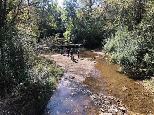 A serene creek surrounded by trees, with four people exploring the rocky shore under bright sunlight.