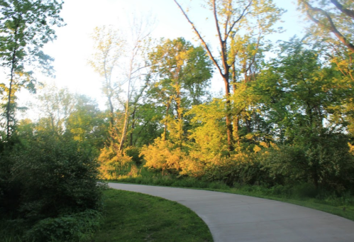 A winding path through a lush green forest, illuminated by warm sunlight filtering through the trees.
