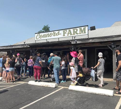 A long line of people waiting outside Connors Farm on a sunny day, with some in colorful clothing and a stroller.