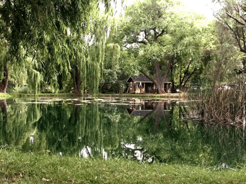 A serene pond reflects a small cabin surrounded by lush greenery and trees.