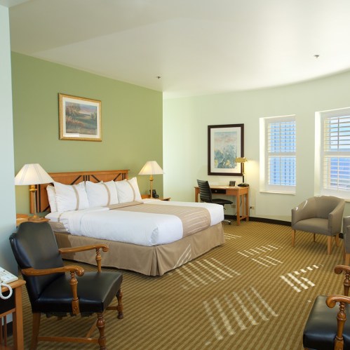 A cozy hotel room featuring a queen bed, desk, chairs, and soft green walls with natural light from windows.