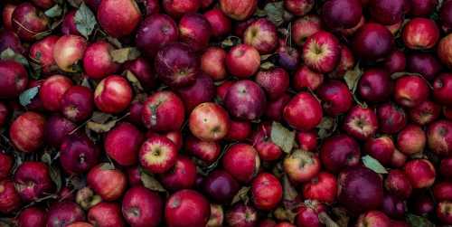 A close-up of a pile of red apples with green leaves scattered among them.