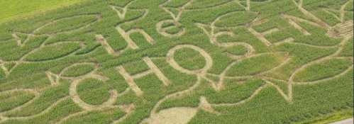 Aerial view of a cornfield with the words "The Chosen" carved into the crops, surrounded by fish shapes.