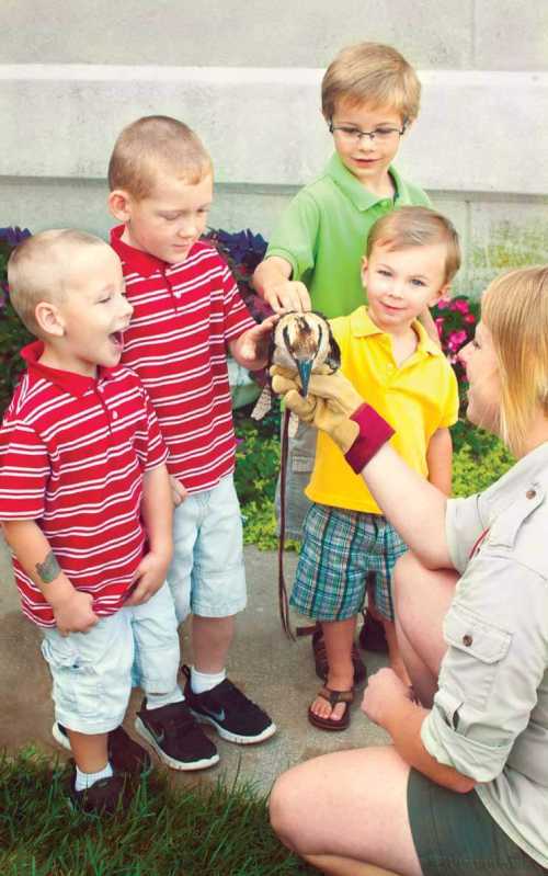 A woman shows a snake to four young boys, who are excited and curious, in a garden setting.