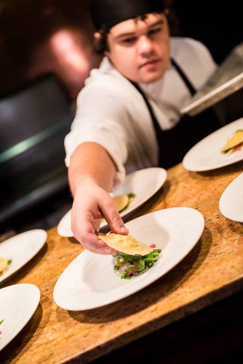 A chef carefully places a dish on a plate, showcasing a beautifully arranged meal in a kitchen setting.