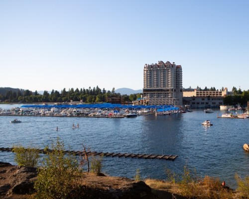 A marina with blue boat covers, surrounded by trees and a hotel, under a clear blue sky.