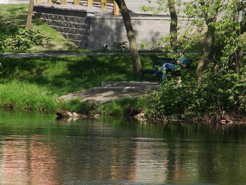 A person sits on a bench by a calm river, surrounded by greenery and trees on a sunny day.