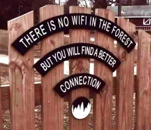 A wooden sign with a Wi-Fi symbol, stating: "No Wi-Fi in the forest, but you'll find a better connection."
