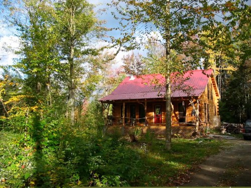 A cozy log cabin with a red roof surrounded by trees and greenery on a sunny day.