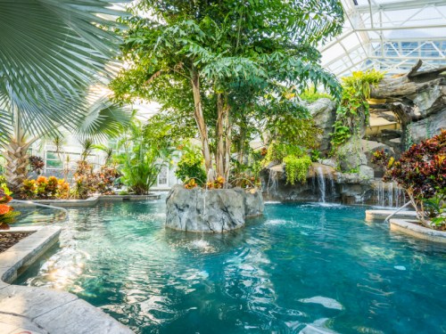 Lush indoor tropical oasis with a clear pool, rock formations, and cascading waterfalls surrounded by vibrant greenery.