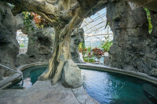 A serene indoor pool area surrounded by natural rock formations and a large tree, with lush greenery in the background.