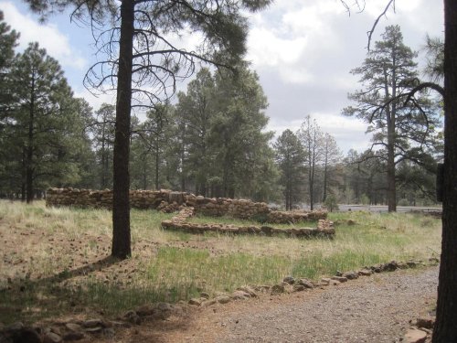 A grassy area with stone ruins surrounded by tall pine trees under a cloudy sky. A gravel path leads into the scene.