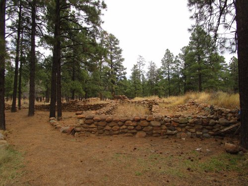 Ruins of a stone structure surrounded by tall pine trees and dry grass in a forested area.