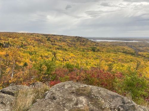 A scenic view of a colorful autumn landscape with yellow and red foliage, rocky foreground, and a cloudy sky.