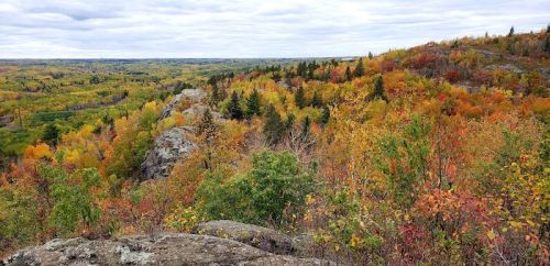 A scenic view of rolling hills covered in vibrant autumn foliage under a cloudy sky.