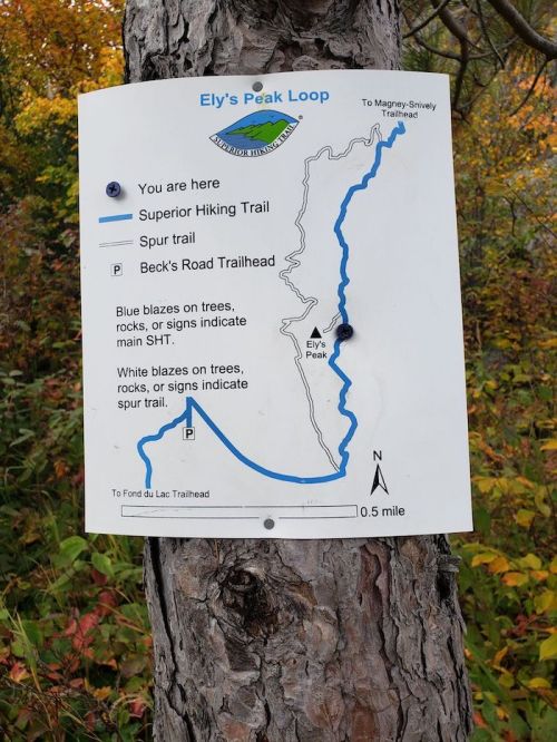 Map of Ely's Peak Loop trail, showing trails, landmarks, and directions in a wooded area with colorful foliage.