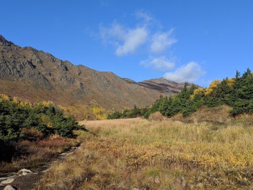 A scenic landscape featuring mountains, a clear blue sky, and a meadow with autumn foliage and evergreen trees.