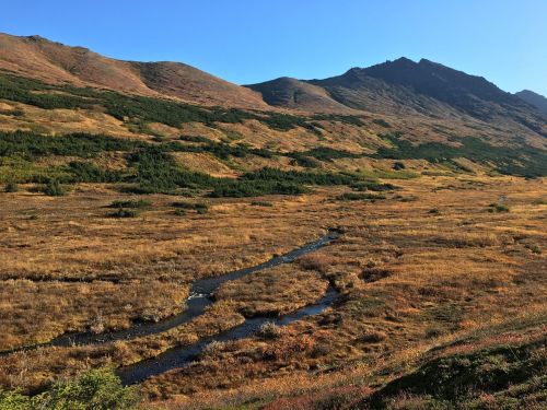 A scenic landscape featuring rolling hills, a winding stream, and golden grasslands under a clear blue sky.