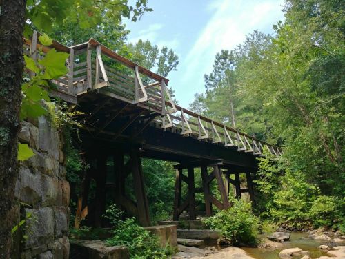 A wooden bridge spans a creek, surrounded by lush greenery and trees under a clear blue sky.