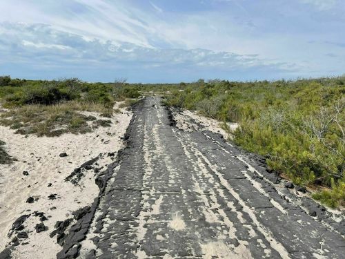 A cracked, blackened path stretches through a sandy landscape with sparse vegetation under a cloudy sky.