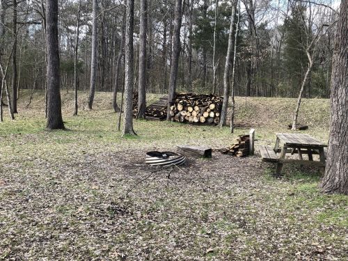 A clearing in a forest with a picnic table, fire pit, and stacked firewood in the background among trees.