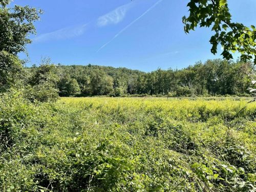 A sunny landscape featuring a grassy field surrounded by trees and blue sky.