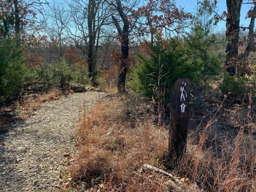 A rocky trail leads through a wooded area, with a wooden sign pointing the way ahead.