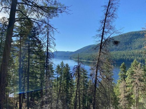 A serene view of a lake surrounded by mountains and tall trees under a clear blue sky.