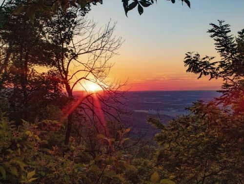 Sunset over a valley, framed by trees, with vibrant orange and pink hues in the sky.