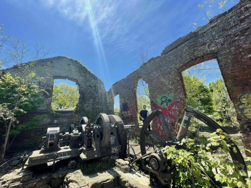 Ruins of a brick building with overgrown vegetation and old machinery, under a clear blue sky.