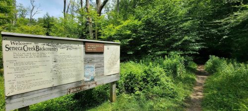 Signpost at Seneca Creek Backcountry with trail information, surrounded by lush greenery and a dirt path leading into the woods.