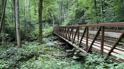 A wooden bridge spans a rocky stream, surrounded by lush green trees in a serene forest setting.