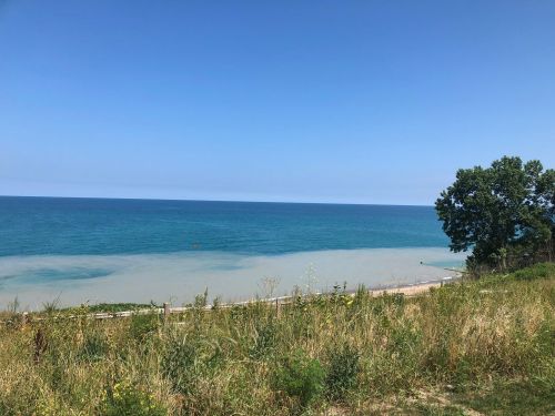 A serene view of a beach with blue water, a clear sky, and green grass in the foreground.